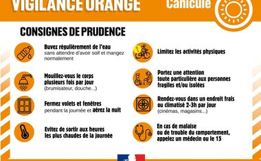 Vigilance orange canicule : les bons réflexes à adopter 