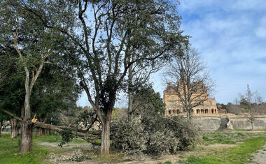 Fermeture temporaire du Parc du Château d’Aubiry