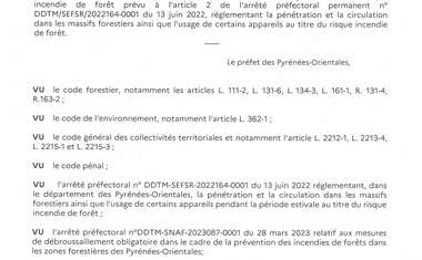 ARRÊTÉ PRÉFECTORAL n° DDTMSNAF2023-137-0001