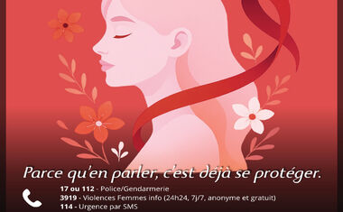 Journée internationale pour l’élimination de la violence à l’égard des femmes